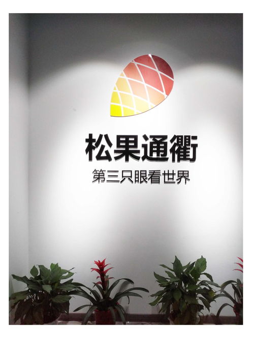 武漢松果通衢網絡科技 計算機科技領域的創新力量